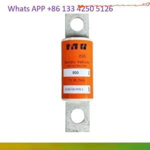 High quality EV20-100-PFB-S 100A fuse