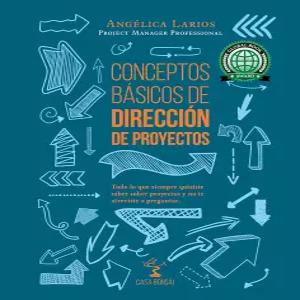 Conceptos Basicos de Direcion Proyectos Todo lo que quisiste saber sobre y not a pruntar 스페인어판
