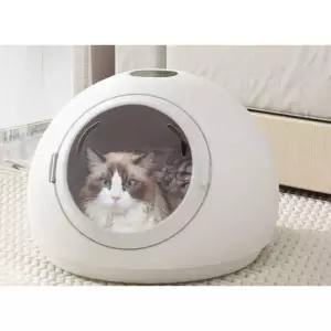 펫 드라이룸 강아지 펫샵 털 드라이기 고양이 드라이
