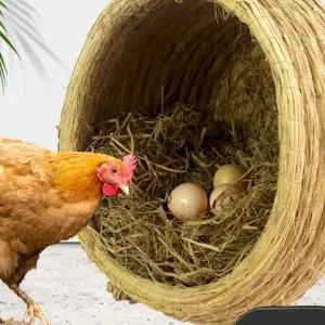 닭산란통 닭둥지 산란장 이동 알집 양계장 하우스