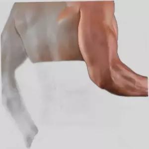 테이핑 허리보호대 복대 헬스리프팅벨트