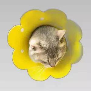 꽃모양 강아지 고양이 부드러운 넥카라