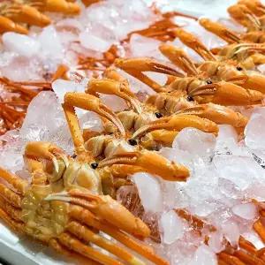 [G] 요리조리 포항 구룡포 고급 홍게 3kg 10-13마리 수율85내외