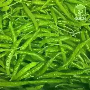 국내산 땡초 청양고추 대량 도매 식자재 10kg