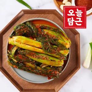 전라도 갓김치 2kg