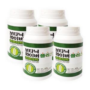 보타닉 화이버 플러스 차전자피 식이섬유 360g 4개