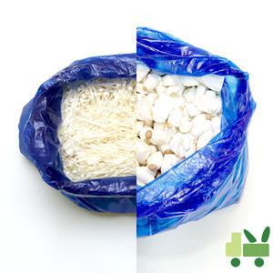 콩알새송이 3봉 팽이버섯 3봉 (총 12kg)