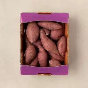 밤고구마 2kg 박스
