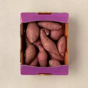 밤고구마 2kg 박스