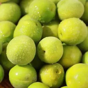[롯데백화점]인정식탁 (6월8일 순차출고) 광양매화골매실 매실 上품 10kg(청매실 엑기스용)