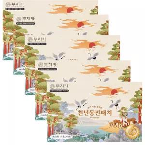 부치카 프리미엄 천년동전패치 75매X 5개 후끈후끈찜질방 프리미엄동전패치