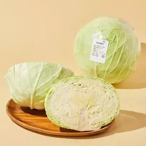 점보 양배추 2kg