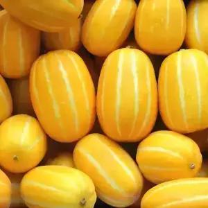 성주 꿀 참외 고당도 가정용 못난이 참외 3kg 혼합과