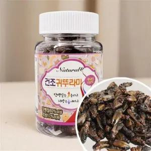 냉동 귀뚜라미 파충류 크레스티드 게코 도마뱀 먹이