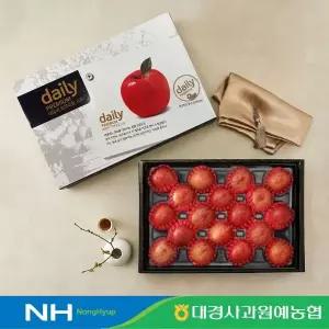 [대경사과원예농협]데일리 사과선물세트 5kg 17~19과