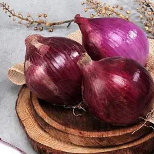 국내산 자색양파 소 3kg / 짱아치용 양파 적양파 단단한 햇 양파 빨간