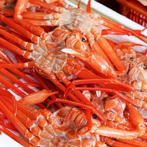 수율 90% 자숙 홍게 2kg (6-8마리)