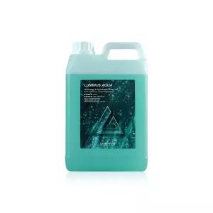 LUMINUS 습식코팅제 고농축 2L 1개 원액 아쿠아 루미너스 오염제거 디테일링