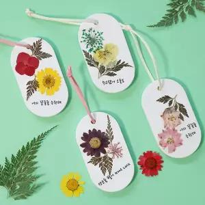 향기나는 압화 꽃 드라이플라워 석고방향제 diy 만들기 4인 키트