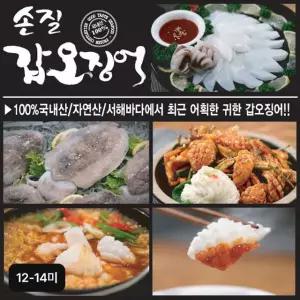 국내산 손질 햇 갑오징어 12~14미
