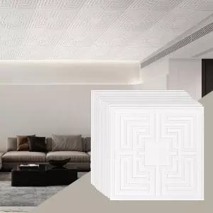 VEVOR 천장 타일 12팩 24 x 24인치 드롭 프리미엄 PVC 시트 간편한 설치/절단 플라스틱 접착 가정/사무실