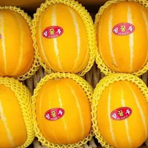 성주 참외 10kg (21-30과내외/정품/대과/개별망포장)