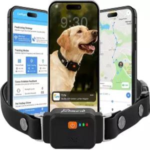 스마트 도그 GPS 트래커 칼라 첫해 구독 실시간 위치 지오펜스 알림 경로 기록 IPX7 방수 4G 내장 SIM 모니