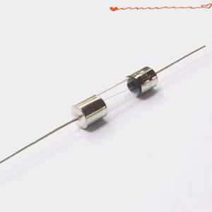 100PCS T2AL 250V 520MM 이중 유리 캡(슬로우 오프 지연 인증 퓨즈 포함)