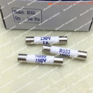 100PCS RO55 250V 1A 5x25mm 원통형 세라믹 퓨즈 튜브