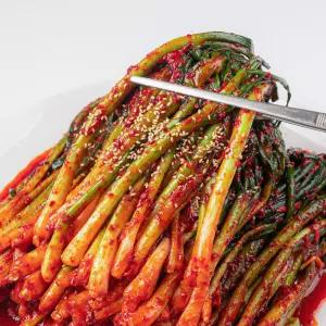 [대한민국농수산] 전라도식 파김치 열무김치 2kg