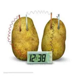 DIY KBE178F1 실험 감자 시계키트 감자시계 발전기 에너지 과학