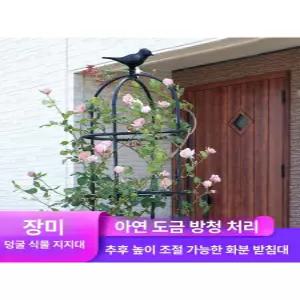 오벨리스크 식물 넝쿨 철제 정원 장미 지주대 화단 가든 장미아치 프레임 덩굴 울타리