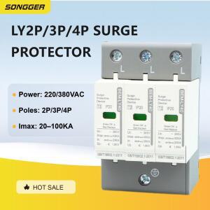 서지 보호기 SPD 2P 20-100kA 220/380VAC 낙뢰 클래스 I 가정 산업용 레일 설치 전원 과전압