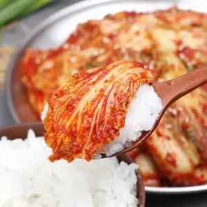 장보남 전라도 얼갈이김치 2kg 3kg 국내산