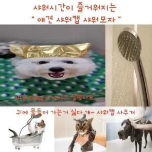 애견모자 강아지 고양이 목욕 방수 귀마개 애견 샤워캡 모자 물