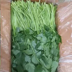의령농산 건강채소 국내산 간편손질야채 참나물 1kg/2kg/4kg