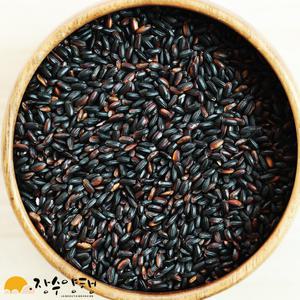 [장수양행] 찰흑미 800g 전라남도 진도군 2025년
