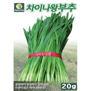(씨앗) 차이나 왕부추 (20g) - 전구지 소풀 - 잎이 넓은 부추 씨앗 종자