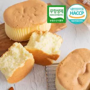 드림푸드 빵굽네 / 수제 카스테라 빵 개별포장 10봉지 1BOX 크림 간식 식사대용 봉지빵 빵배달 단체