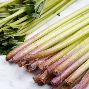 머위대 4kg-특
