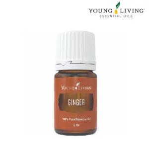 영리빙 진저 에센셜오일 바이탈리티 5ml 글로벌넘버원 오일 선물팡팡