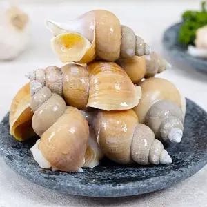 활 연안 백고동 1kg(중)