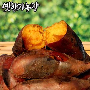 강화도 속노랑 고구마 (상등) 10kg / 호박고구마