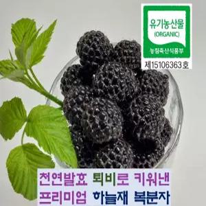 [2025] 햇 유기농복분자 4kg 깨끗한하우스재배