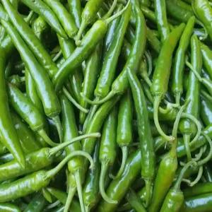 국내산 청양고추 상급 1kg