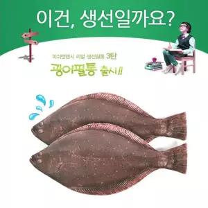 본사정품 특허 광어 우럭 감성돔 필통 물고기 생선 초등학생필통