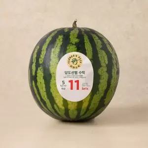 당도선별 수박 4~5kg미만