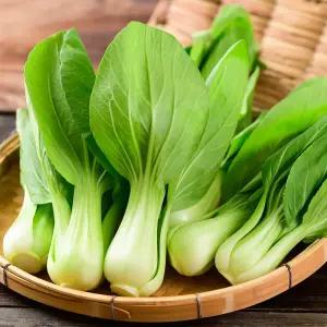 국내산 쌈채소 청경채 6-9알 900g 내외