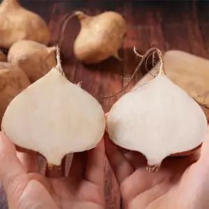 [롯데백화점]남도사랑 베트남 수입 히카마 10kg