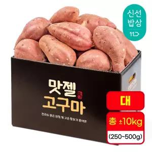 [품질보장]호풍미 호박고구마 대size(250-500g) 10kg